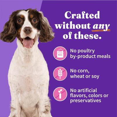 Show full view: Halo Holistic Turkey Recipe in Broth Adult Canned Dog Food, 13.2-oz, case of 6 slide 4 of 9