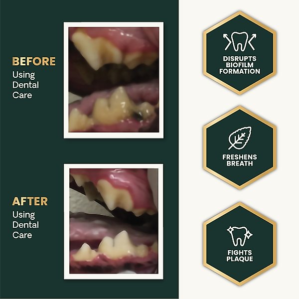VetriScience Perio Dental Care Powder Clinically Tested Breath & Plaque Control Supplement for Dogs & Cats