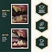 Show in main carousel: VetriScience Perio Dental Care Powder Clinically Tested Breath & Plaque Control Supplement for Dogs & Cats, 4.2-oz, bundle of 2 slide 6 of 11