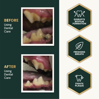 Show full view: VetriScience Perio Dental Care Powder Clinically Tested Breath & Plaque Control Supplement for Dogs & Cats, 4.2-oz bottle slide 6 of 11