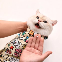 Uno Purr Self Adhesive Cat Grooming Blanket, Large: 27.6 x 27.6-in, Doodle