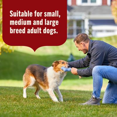 Show full view: Nutrish Whole Health Blend Real Beef & Pumpkin Canned Dog Food, 13-oz, case of 12 slide 6 of 13