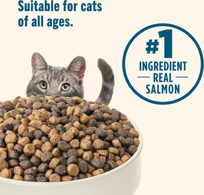 Show full view: Nutrish Whole Health Blend Salmon & Brown Rice Recipe Dry Cat Food (Rachael Ray), 14-lb bag slide 6 of 13