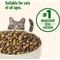 Show in main carousel: Nutrish Whole Health Blend Chicken & Brown Rice Recipe Dry Cat Food (Rachael Ray), 14-lb bag slide 6 of 13