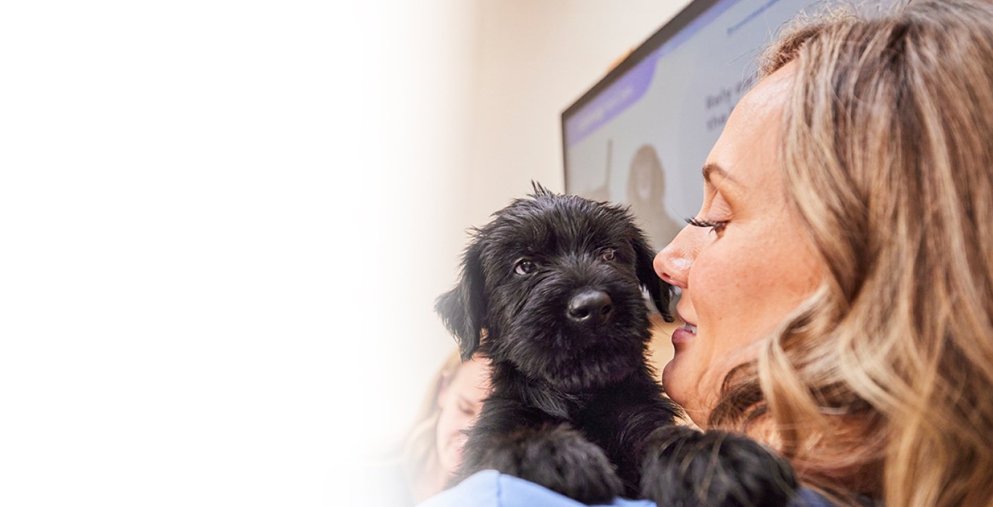 A veterinary professional playing with a dog