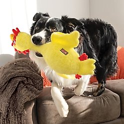 KONG Scruffs Chicken Dog Toy, Yellow, Medium/Large slide 2 of 4