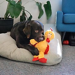 KONG Knots Chicken Dog Toy, Yellow, Medium/Large slide 2 of 4