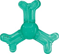 KONG Squeezz Dental Roller Bone Dog Toy, Green, X-Small/Small