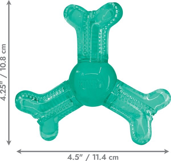 KONG Squeezz Dental Bone Dog Toy