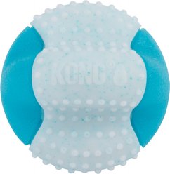 KONG Goomz Dental Ball Dog Toy, Teal, X-Small/Small