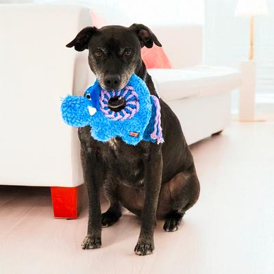 Show full view: KONG Ringaroos Elephant Dog Toy, Blue, Medium slide 4 of 5