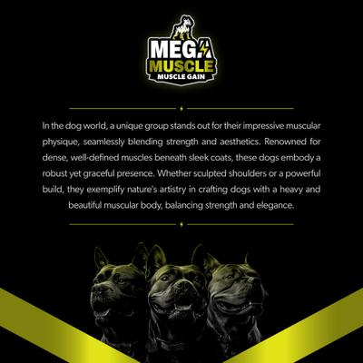 Show full view: PetBeing Mega Muscle Muscle Gain 2-in-1 Daily Booster & Multivitamin Chewable Tablets for Dogs, 60 count slide 6 of 9