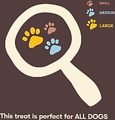 Pet 'n Shape Salmon Fillets Jerky Dog Treats, 16-oz bag slide 2 of 6
