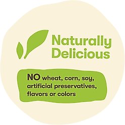 Pet 'n Shape Salmon Fillets Jerky Dog Treats, 16-oz bag, bundle of 2 slide 2 of 6