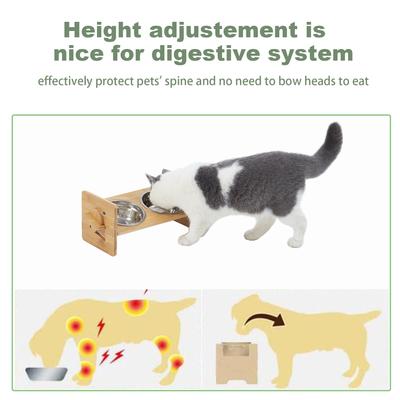 Show full view: Wisfor Raised Cat & Small Dog Bowl, Small slide 3 of 8