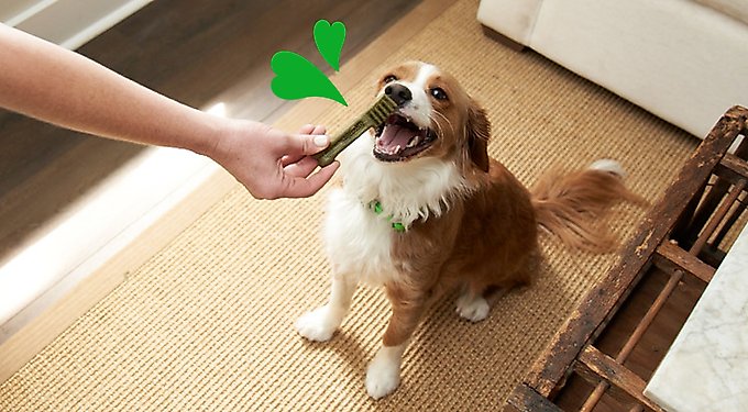 Greenies Teenie Original Chicken Flavor Dental Dog Treats