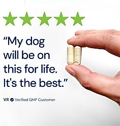 AnimalBiome GMP Capsule Digestive Aid Supplement for Dogs, Large, 60 count slide 2 of 9