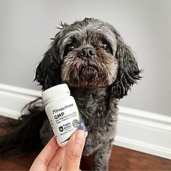 AnimalBiome GMP Capsule Digestive Aid Supplement for Dogs, Small, 60 count slide 2 of 9