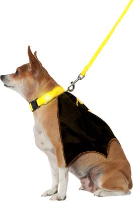 Show full view: Rubie's Costume Company Batman Light Up Collar Dog & Cat Costume, Large slide 2 of 7