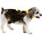 Show in main carousel: Rubie's Costume Company Batman Light Up Collar Dog & Cat Costume, Large slide 3 of 7