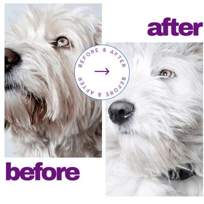 Show full view: Lillian Ruff Brightening Dog Shampoo, 128-fl oz bottle slide 2 of 7