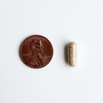 Show full view: AnimalBiome GMP Capsule Digestive Aid Supplement for Cats, 60 count slide 4 of 11