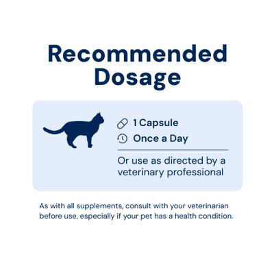 Show full view: AnimalBiome GMP Capsule Digestive Aid Supplement for Cats, 60 count slide 6 of 11