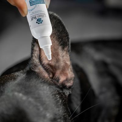 Show full view: Lillian Ruff Dog Ear Cleaner, 128-fl oz bottle slide 4 of 8