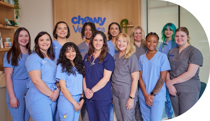 Members of the Chewy Vet Care Alliance care team gathered in the clinic