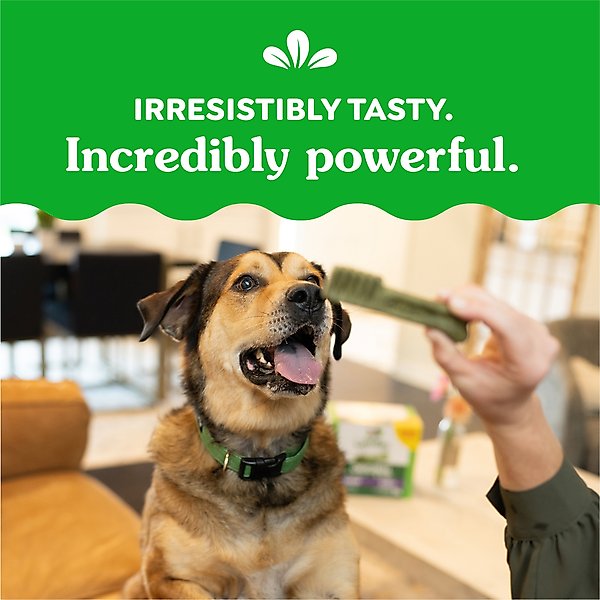 Show full view: Greenies Large Natural Original Chicken Flavor Dental Dog Treats, 24 count slide 6 of 11