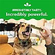 Show in main carousel: Greenies Large Natural Original Chicken Flavor Dental Dog Treats, 24 count slide 6 of 11