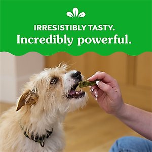 Greenies Teenie Original Chicken Flavor Dental Dog Treats, 130 count