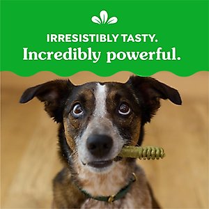 Greenies Regular Original Chicken Flavor Dental Dog Treats, 36 count