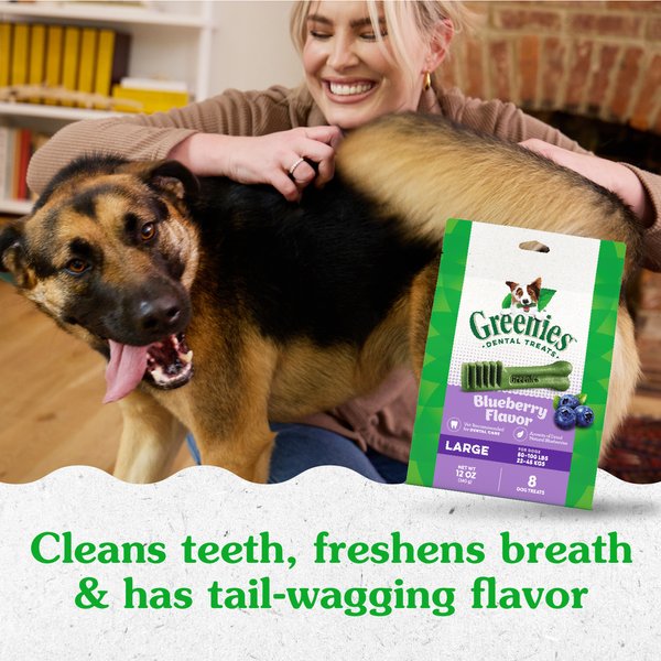 Greenies Scary Berry Blueberry Flavor Large Dental Dog Treats, 6-oz bag