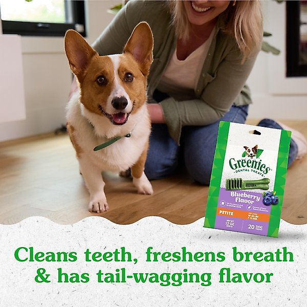 Show full view: Greenies Blueberry Petite Dental Dog Treats, 20 count slide 10 of 11