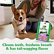Show in main carousel: Greenies Blueberry Petite Dental Dog Treats, 20 count slide 10 of 11