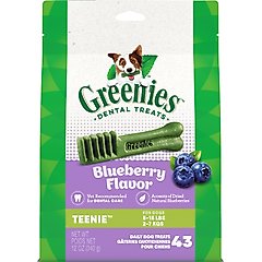 Greenies Bursting Blueberry Teenie Dental Dog Treats, 43 count
