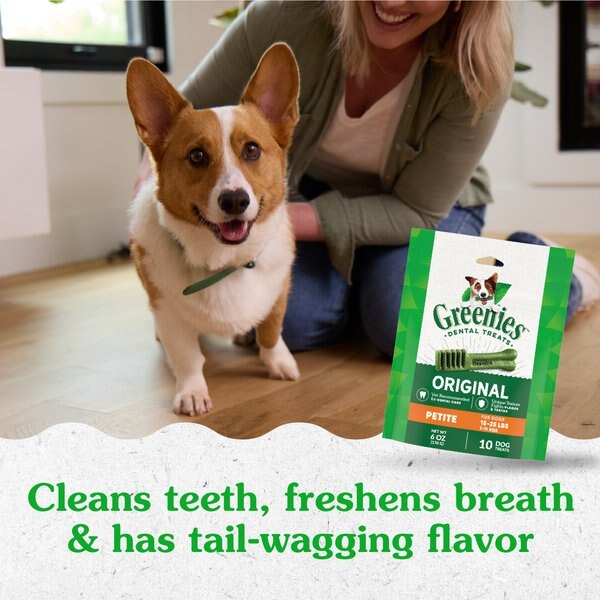 Greenies Original Natural Chicken Petite Holiday Dental Dog Treats, 10 count