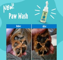 Earthbath Avocado & Calendula Dog Paw Wash, 8-fl oz bottle slide 2 of 9