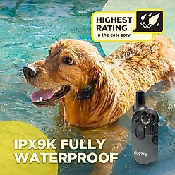Dogtra 200iQ 1/2 Mile IPX9K Waterproof Vibration & Tone Rechargeable Remote Dog Training Collar, Black slide 2 of 9
