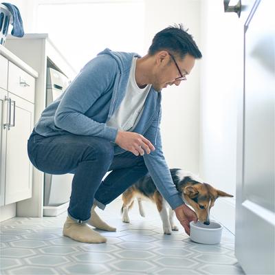 Show full view: Purina Petivity Microbiome Comprehensive Gut Profile Analysis Kit for Cats & Dogs slide 6 of 10