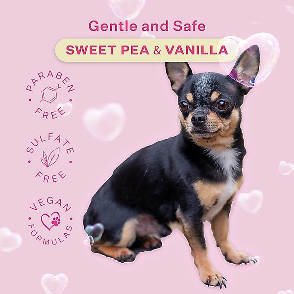 Show full view: Paris Hilton Pet Iconic Sweet Pea & Vanilla No-Rinse Dog Shampoo, 9.5-fl oz bottle slide 3 of 8
