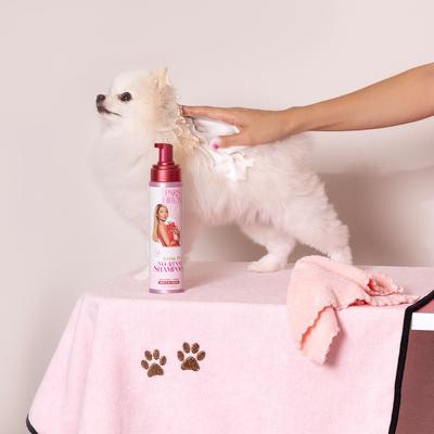Show full view: Paris Hilton Pet Iconic Sweet Pea & Vanilla No-Rinse Dog Shampoo, 9.5-fl oz bottle slide 7 of 8