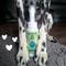 Show in main carousel: Earthbath Avocado & Calendula Dog Paw Wash, 8-fl oz bottle slide 4 of 9