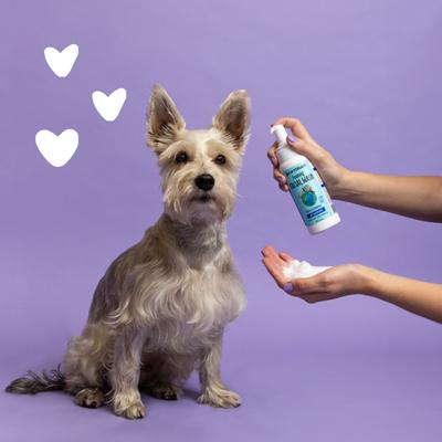 Show full view: Earthbath Bilberry & Blueberry Foaming Facial Wash Dog Grooming Foam, 8-fl oz bottle slide 3 of 8