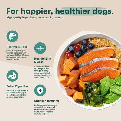 Show full view: Jinx Salmon, Brown Rice & Sweet Potato ALS Kibble Dog Dry Food, 30-lb bag slide 4 of 14