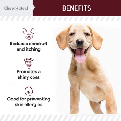Show full view: Chew + Heal Savory Lamb Omega Skin & Coat Supplement for Dogs, 360 count slide 9 of 10