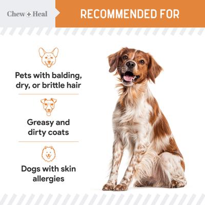 Show full view: Chew + Heal Mini Wild-Caught Omega-3 Softgels Skin & Coat Supplement for Puppies, 360 count slide 9 of 11