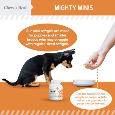 Show full view: Chew + Heal Mini Wild-Caught Omega-3 Softgels Skin & Coat Supplement for Puppies, 360 count slide 7 of 11
