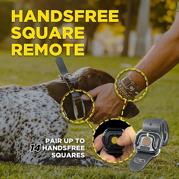 Show full view: Dogtra 1900X Handsfree Waterproof Vibration & Tone Remote Dog Training Collar, 13 to 20-in neck, Black slide 9 of 10